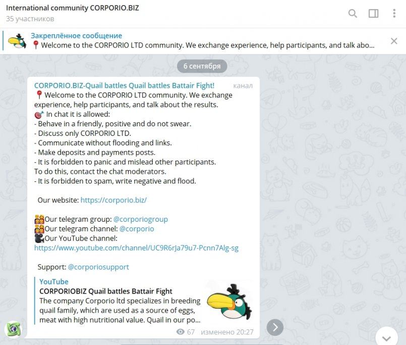 Corporio.biz — Открыт Telegram-чат