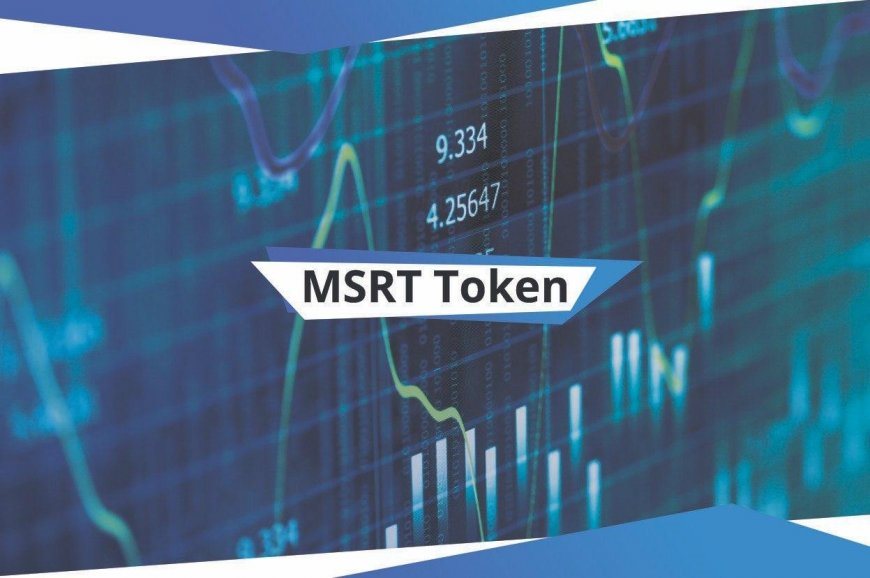 Msrise.com — Добавлен онлайн-кошелек MSRT Token.