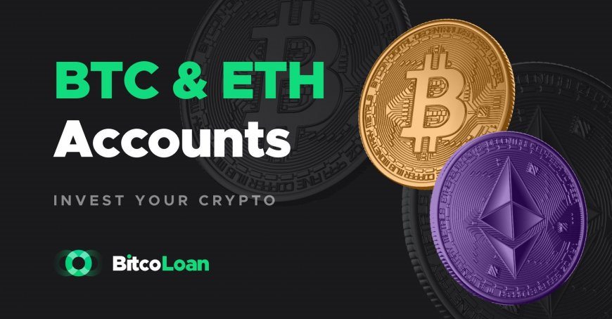 Bitcoloan.com — Bitcoin and Ethereum счета. Теперь можно инвестировать криптовалюту напрямую!